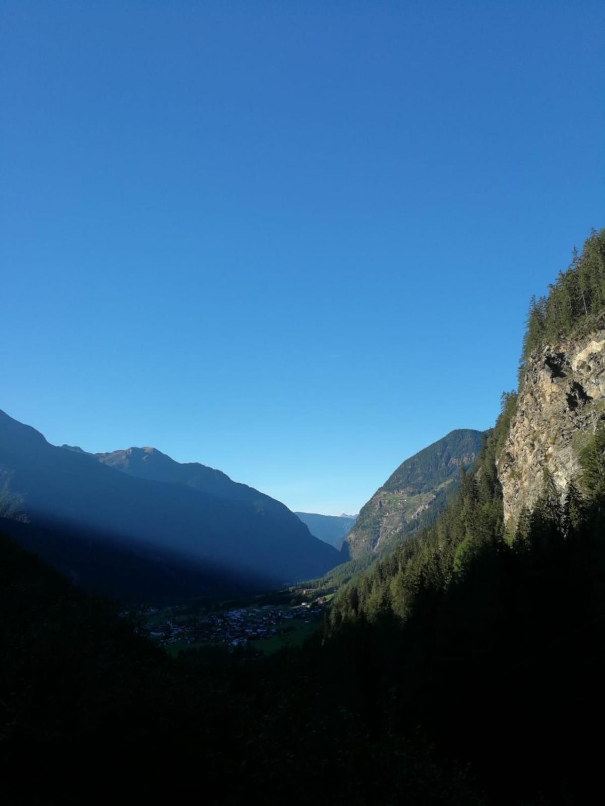 Alpenrose