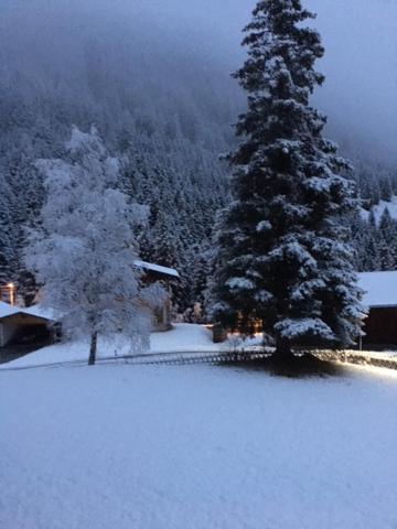 Alpenrose Penzion *